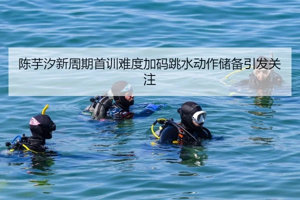 陈芋汐新周期首训难度加码跳水动作储备引发关注
