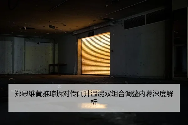 郑思维黄雅琼拆对传闻升温混双组合调整内幕深度解析